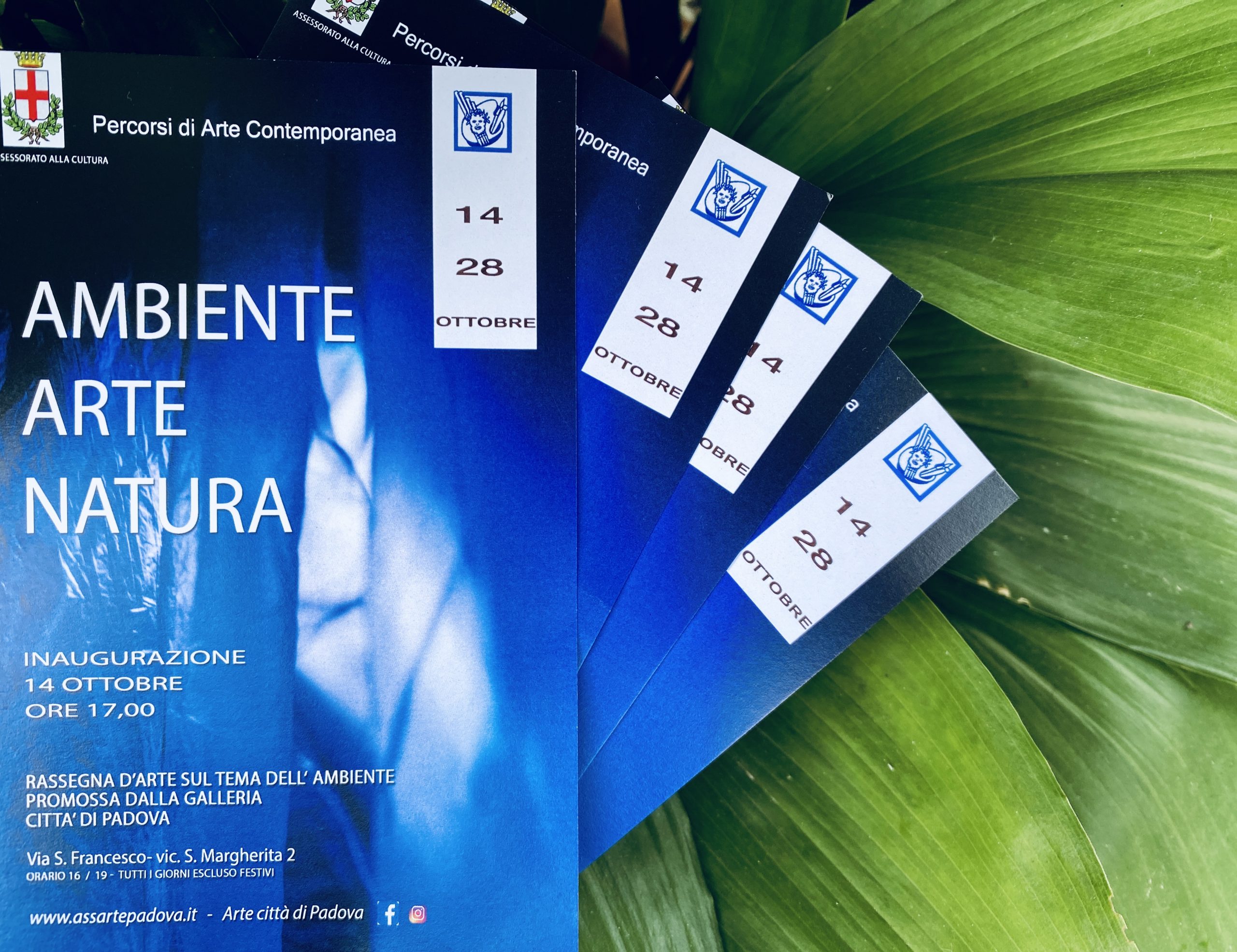 Photo inspiration: Fresh Look at Ambiente Arte Natura